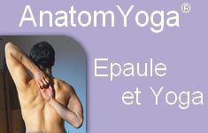 27 Anatomyoga : Ceinture scapulaire et yoga