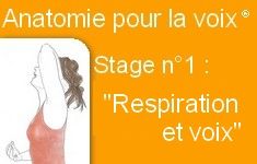 48A Cycle Anatomie pour la Voix® Stage 1 (Mouvement respiratoire pour la voix)